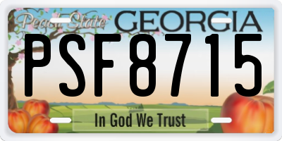 GA license plate PSF8715