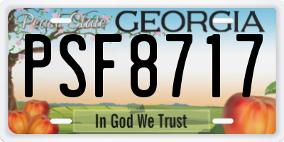 GA license plate PSF8717