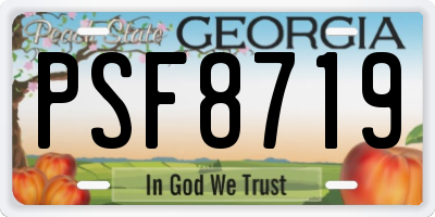 GA license plate PSF8719