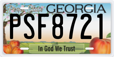 GA license plate PSF8721