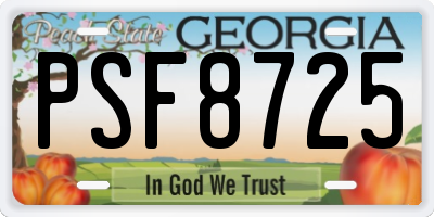 GA license plate PSF8725