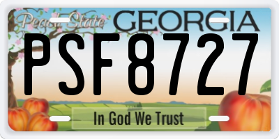 GA license plate PSF8727