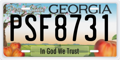 GA license plate PSF8731