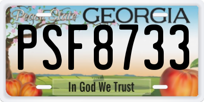 GA license plate PSF8733