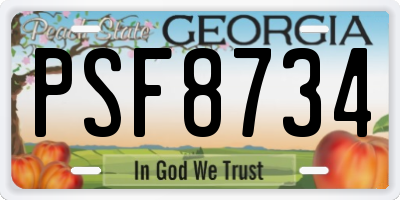 GA license plate PSF8734