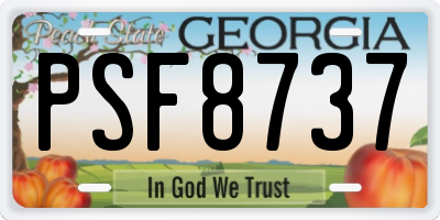 GA license plate PSF8737