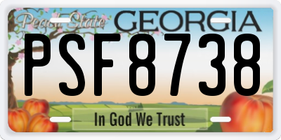 GA license plate PSF8738