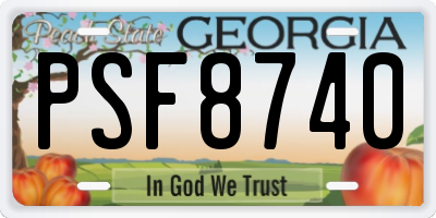 GA license plate PSF8740