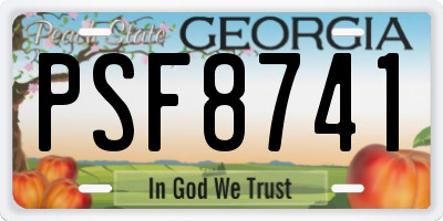 GA license plate PSF8741