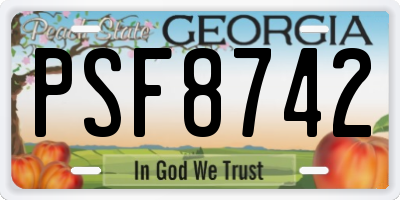 GA license plate PSF8742