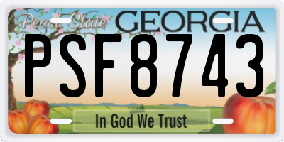 GA license plate PSF8743