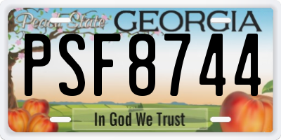GA license plate PSF8744