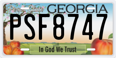 GA license plate PSF8747