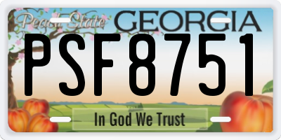 GA license plate PSF8751