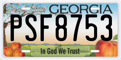 GA license plate PSF8753