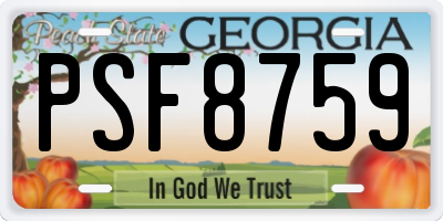 GA license plate PSF8759