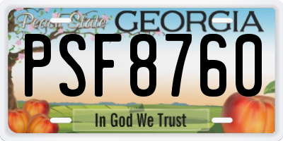 GA license plate PSF8760