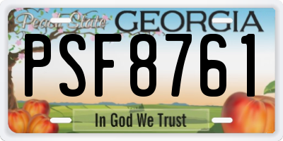 GA license plate PSF8761