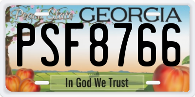 GA license plate PSF8766