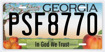 GA license plate PSF8770