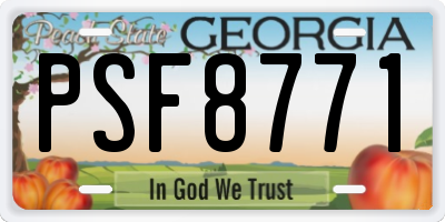 GA license plate PSF8771