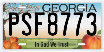 GA license plate PSF8773