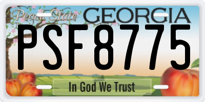 GA license plate PSF8775