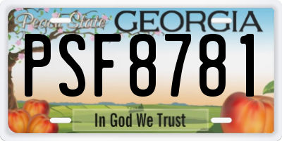 GA license plate PSF8781