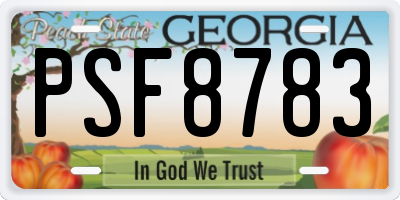 GA license plate PSF8783