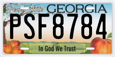 GA license plate PSF8784