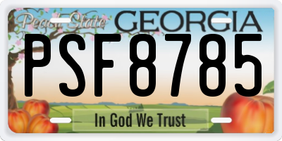 GA license plate PSF8785