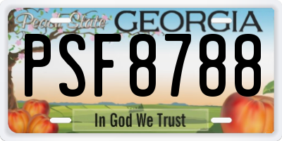 GA license plate PSF8788