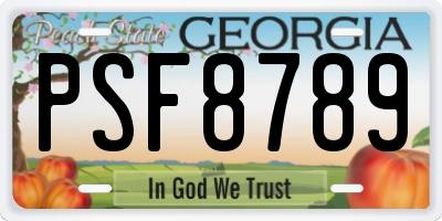 GA license plate PSF8789