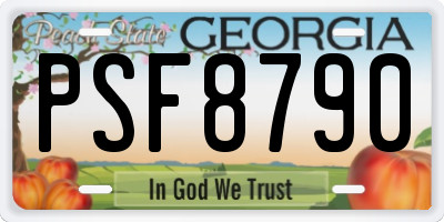 GA license plate PSF8790