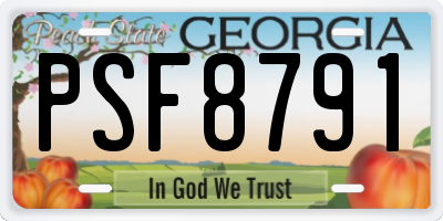 GA license plate PSF8791