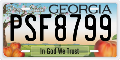 GA license plate PSF8799