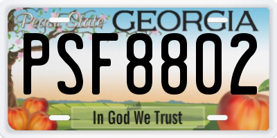 GA license plate PSF8802