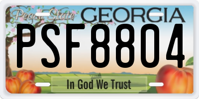 GA license plate PSF8804