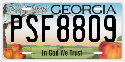 GA license plate PSF8809