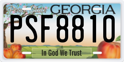 GA license plate PSF8810