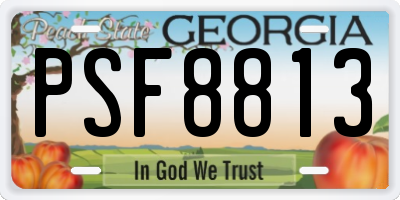 GA license plate PSF8813