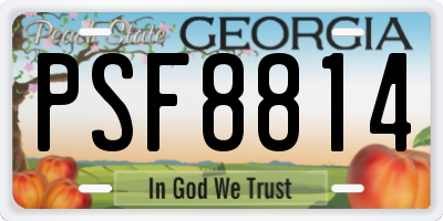 GA license plate PSF8814