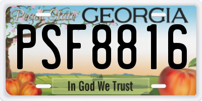 GA license plate PSF8816