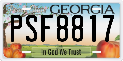 GA license plate PSF8817