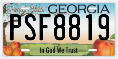 GA license plate PSF8819