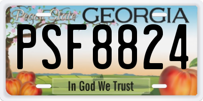 GA license plate PSF8824