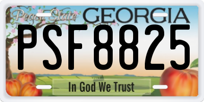 GA license plate PSF8825