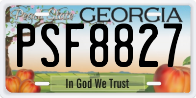 GA license plate PSF8827