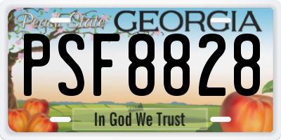 GA license plate PSF8828