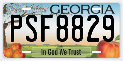 GA license plate PSF8829